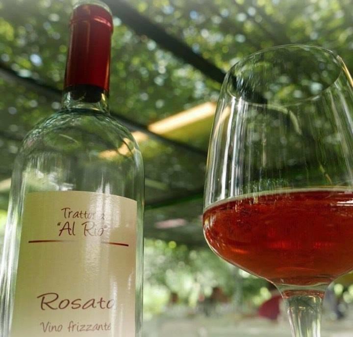 Locanda-Trattoria Al Rio Cinto Euganeo Eksteriør bilde
